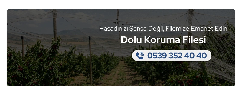 dolu-koruma-filesi