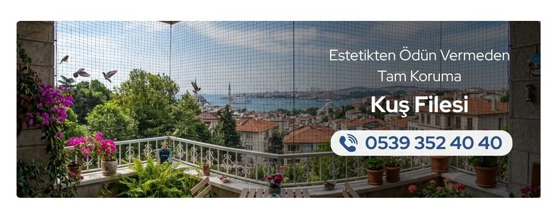 kus-filesi